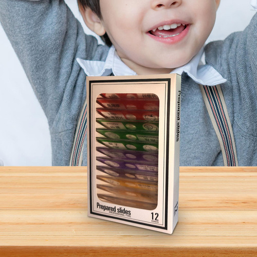 12 Preparados Educativos, Juguete De Aprendizaje,
