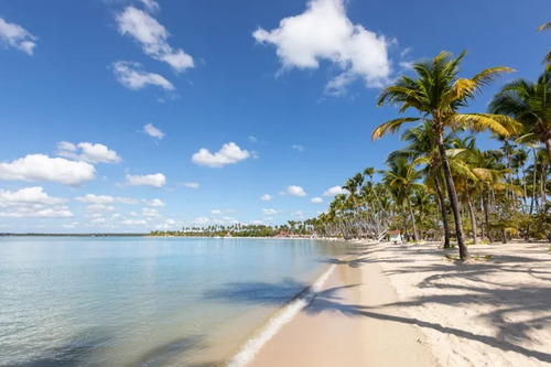 Vendo Terreno En Playa Sardina, Al Lado De Playa Nueva Romana De Unos 6 Millones De Metros, Con Un Frente De Playa De Unos 500 Mt Y Costa De Mas De 2 Kilómetros, Republica Dominicana