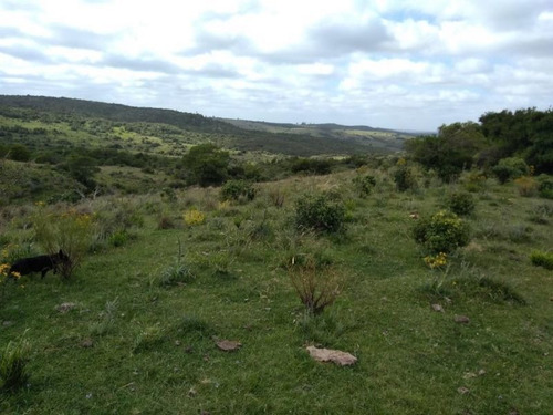 Campo En Venta
