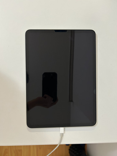 iPad Pro 11 Pulgadas 3ra Gen (m1) Como Nuevo (Usado)