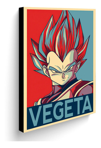 Cuadro Decorativo 50x30 Cms Vegeta 2