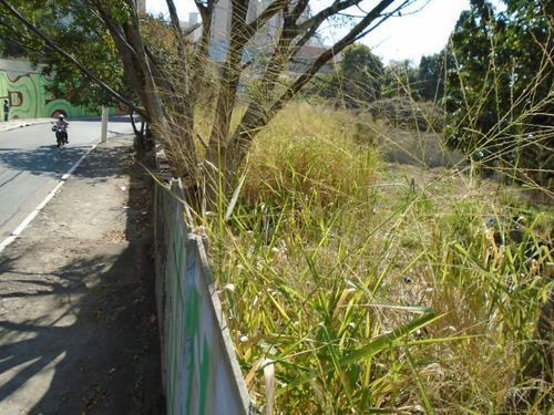 Imagem 8 de 12 de Terreno - 471022 - 69953291
