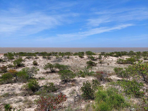 Chacra 5,5 Has Costa De Río - Los Pinos, Colonia