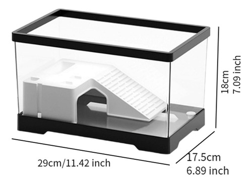 Tanque Para Tortugas De Agua Con Área De Negro Medio