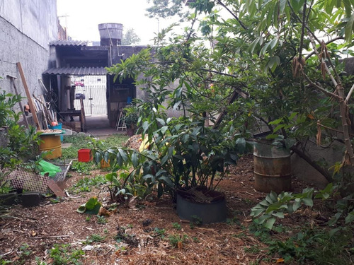 Imagem 6 de 8 de Terreno Com Salão Em Perus - 9849
