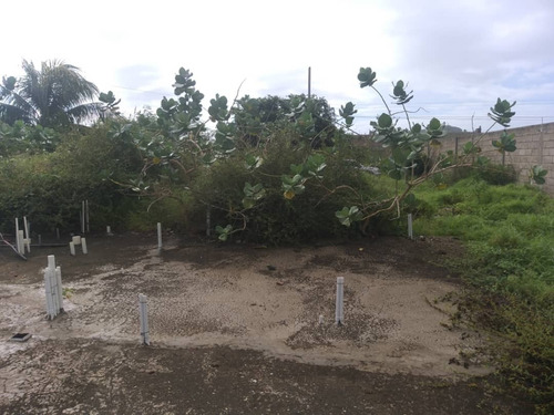 Imagen 11 de 12 de Amplio Terreno Vía Guacuco Con Sus Servicios. Tapiado Y Con Proyecto 22-19040