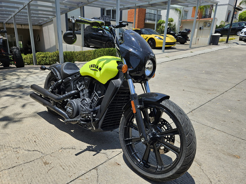 Indian Scout Rogue