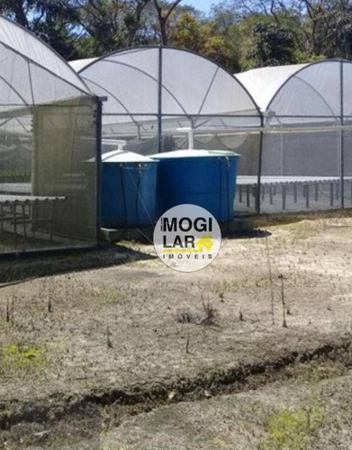 Imagem 4 de 7 de Chácara Com 2 Dormitórios À Venda, 24200 M² Por R$ 1.300.000,00 - Jardim Margarida - Mogi Das Cruzes/sp - Ch0005