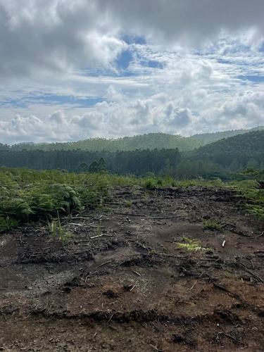 Imagem 14 de 30 de 51- Terrenos Em Mogi Das Cruzes Com Mil Metros