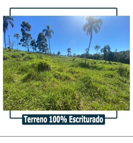 Imagem 2 de 6 de L22- Venha Conhecer Esse Novo Sucesso De Vendas