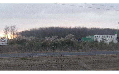 Fraccion De 4000m2 Frente Ruta 11 Km 332