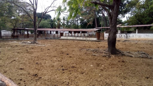 Imagen 2 de 15 de Finca En El Paguey, Barinas En Venta