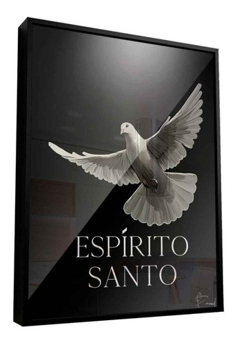 Quadro Decorativo Espírito Santo | Moldura + Vidro 100x75