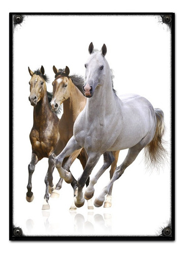 #641 - Cuadro Decorativo Vintage 30 X 40 - Caballos Poster