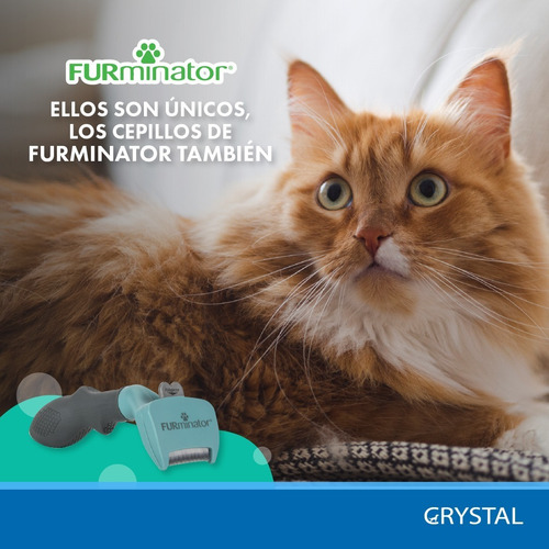 Imagen 5 de 9 de Cepillo Furminator Pelo Corto Small Gato Pequeño