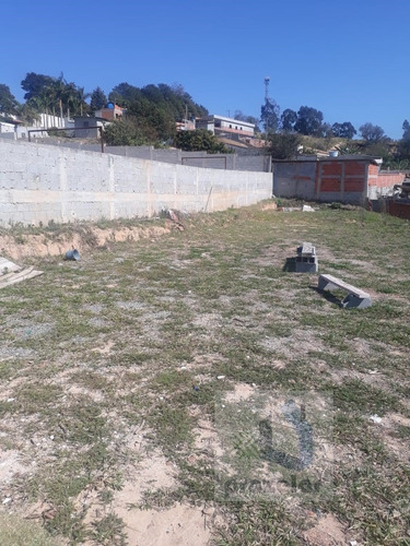 Imagem 14 de 14 de *** Linda Edícula ***