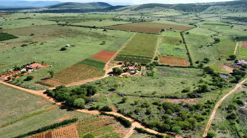Oportunidade Única! Sítio De 12 Hectares Porteira Fechada -