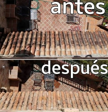 Imagen 4 de 9 de Limpiador De Caico Y Superficies Exteriores, Vidrios Y Baños