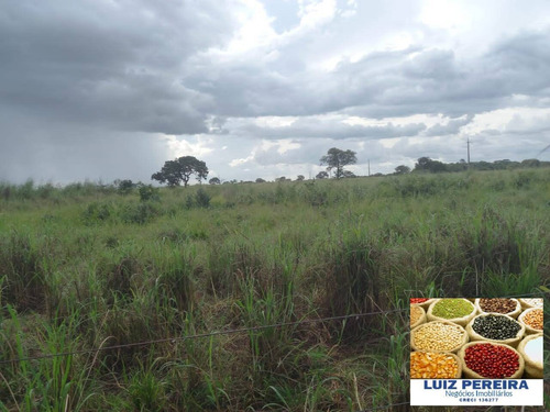 Imagem 5 de 15 de Fazenda À Venda Em Marianópolis - To - De 429 Alqueirão (dupla Aptidão) - 1682
