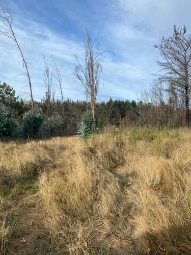 Vendo Parcela 1 Ha A 4,5 Km Peaje Lateral Rafael Oriente