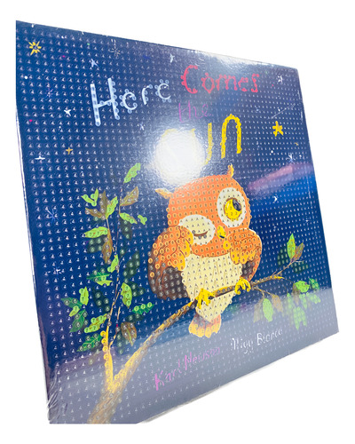 Kit Pintura De Diamantes Cuadro 20x20 Varios Personajes Buho Noche