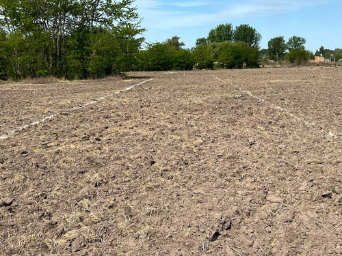 Lote En Venta En General Rodriguez, Zona Oeste, Sin Expensas, Excelente Ubicación Y Acceso Con Asfalto.