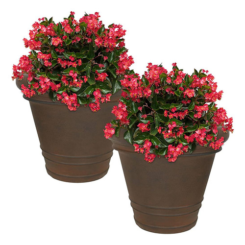 Sunnydaze Crozier Flower Plantter, Poliresina De Doble Pared