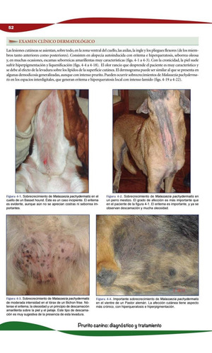 Rodríguez Beltrán: Prurito Canino: Diagnóstico Y Tratamiento