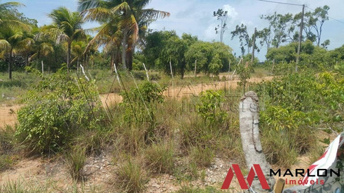 Imagem 5 de 5 de Terreno Pium