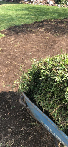 Pasto En Rollo Tampico Tamaulipas San Agustin Jardineria