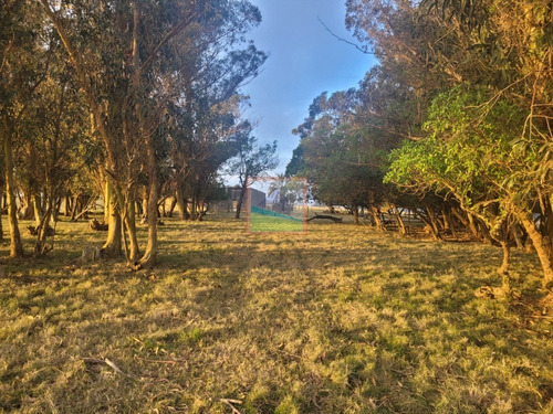 Imagen 23 de 23 de Chacra 10has Con Casa En José Ignacio