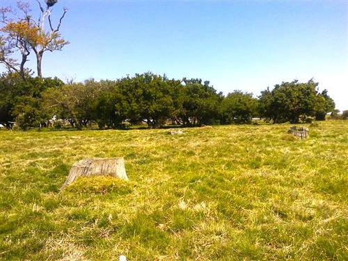 Campo En Venta En Castillos (ref: Atm-4276)