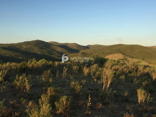 Venta De 384 Hc Próximo A Sierra De Carapé