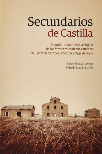 Libro Secundarios De Castilla - Martin Verona,ignacio