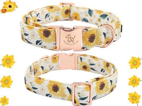 Collar De Perro Elegante Con Cola Pequeña, Collar Para Masco