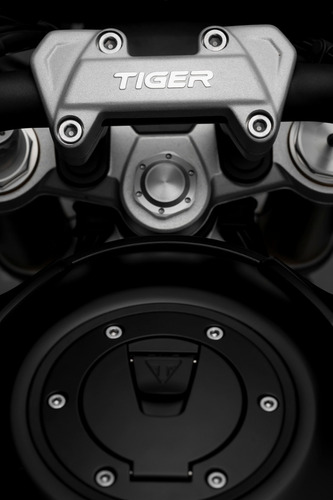 Imagen 20 de 21 de Triumph Tiger 1200 Rally Explorer
