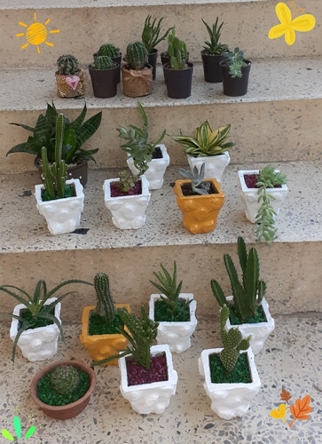 Cactus  Miniaturas Adornos Decorativas Baby Shower Regalos