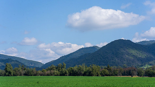 Imagen 5 de 20 de Lomas De Huemul