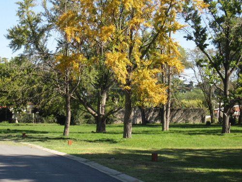 Lote En Venta :: Barrio Cerrado Solaes De Zapiola