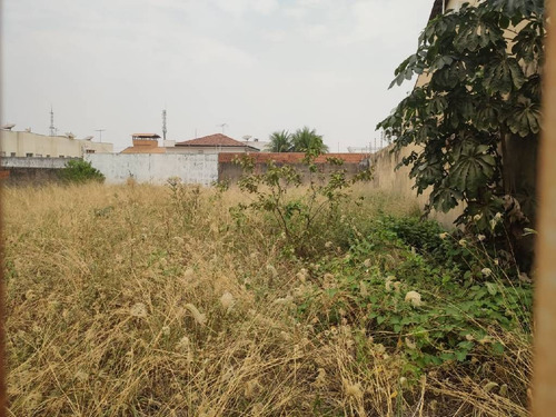 Imagem 4 de 8 de Terreno Plano - 23749