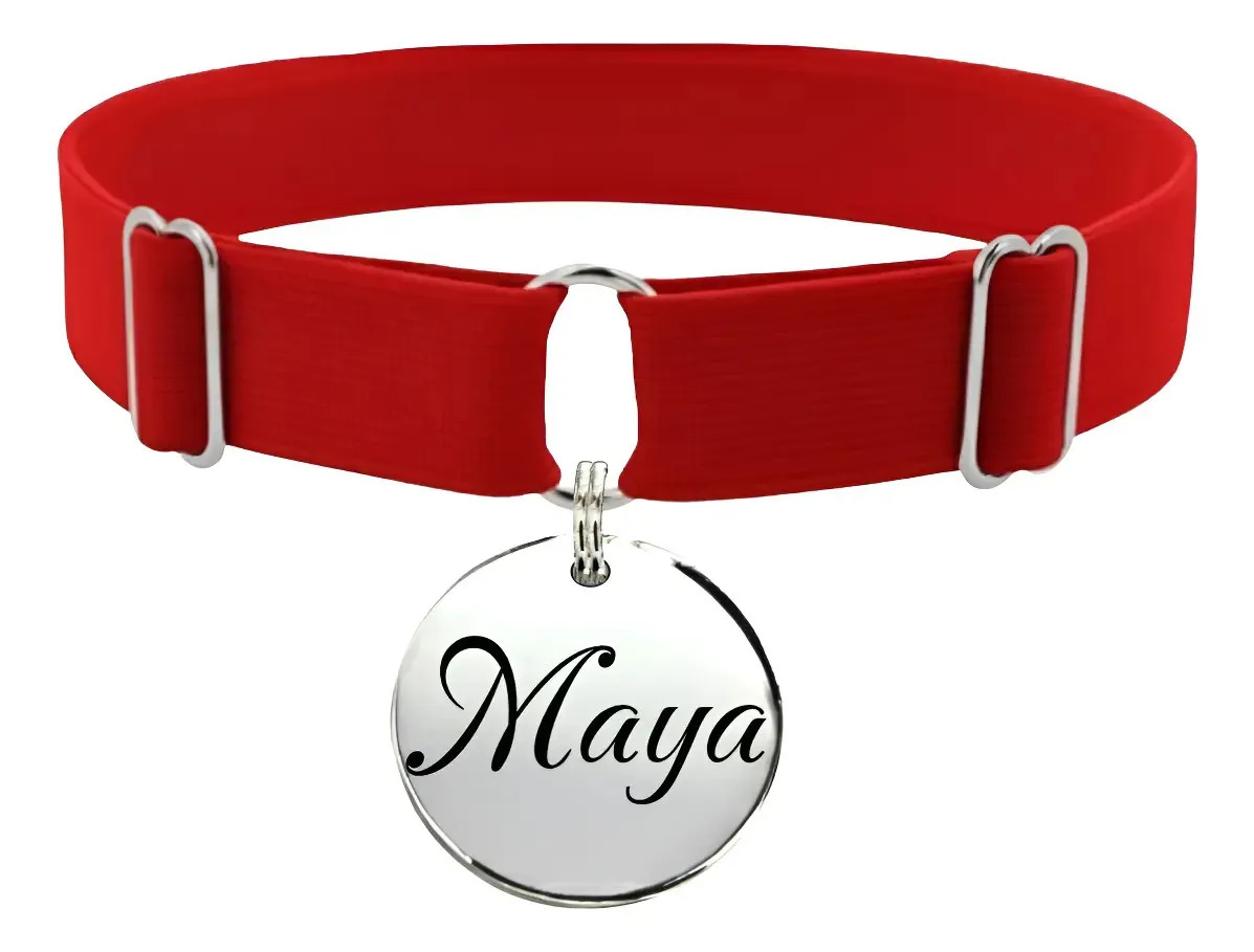 Coleira Elástica Tagdog Para Cães E Gatos Com Placa Inox Cor Vermelho Redonda Tamanho Da Coleira G: 27cm A 45cm