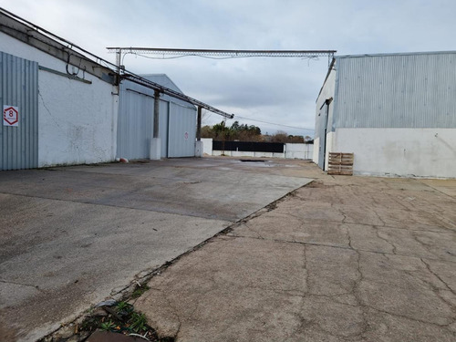Imagen 15 de 16 de Depósito - Centro Logístico, Ruta 67 Próximo Ruta 5,las Piedras, 1250 M2 , Altura 7 Mts, Nuevo , Vig 24 Hs !!