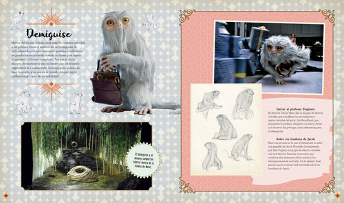 Imagen 5 de 7 de Wizarding World: Cine Mágico 2. Criaturas Curiosas