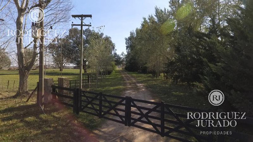 Venta De 22 Hectáreas - San Antonio De Areco A 10km Del Pueblo Y 100km De Caba