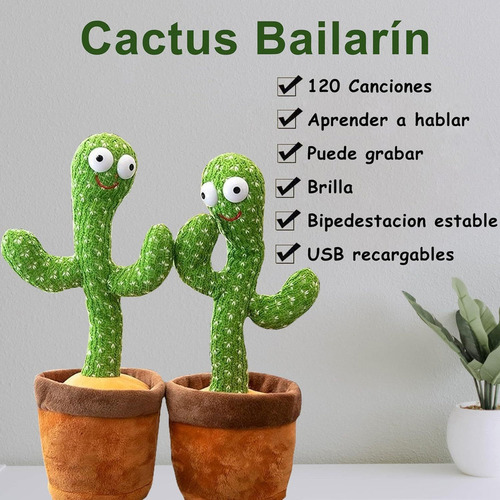 Cactus Bailarín, Cactus Parlante Que Repite Lo Que Dices