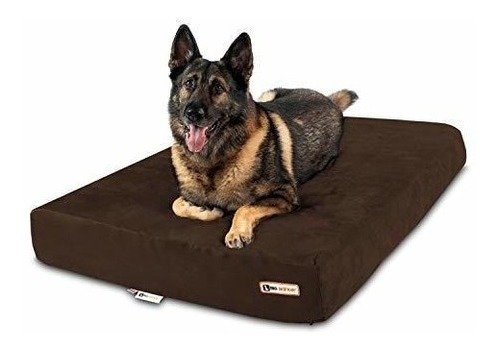 Cama Ortopedica Para Perros De 7.0 In