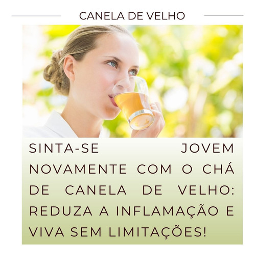 Chá De Canela De Velho | Natural Folhas Secas Para