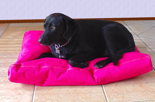 Cama Para Perro Gosset Modelo Zuko Md.