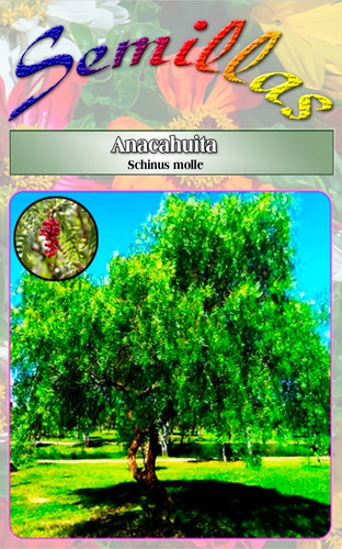 Semillas De Anacahuita (schinus Molle)