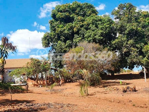 Imagem 11 de 12 de Rural Chacara Com 3 Quartos - 335-v